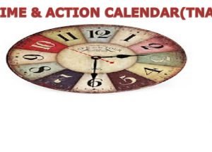 How to Make Time & Action Calendar (TNA)