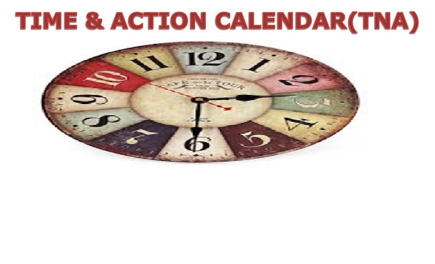 How to Make Time & Action Calendar (TNA)